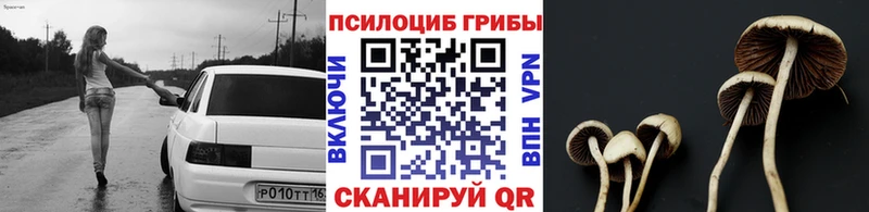 Галлюциногенные грибы ЛСД  Тобольск 